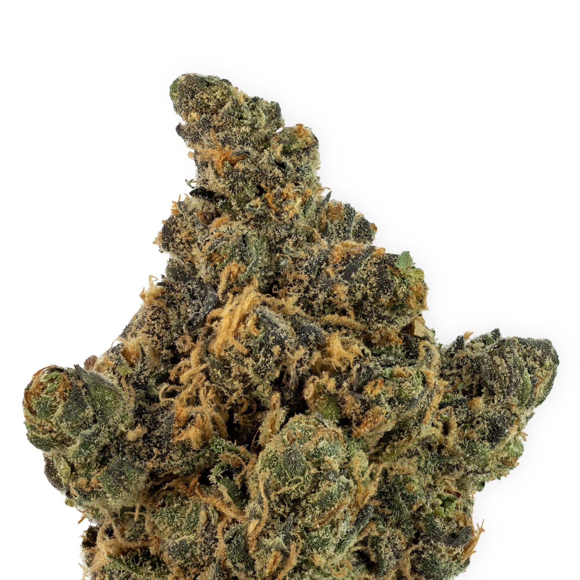 Harmony Haze - Lemon Cherry Gelato-02