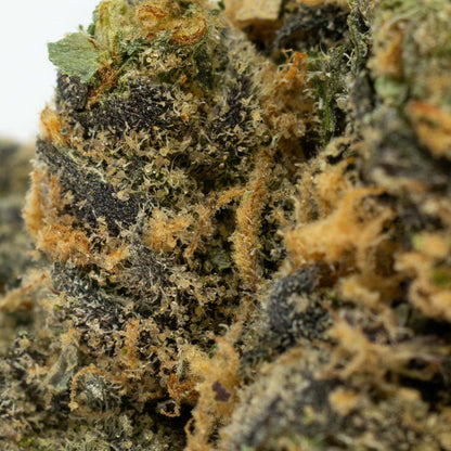 Harmony Haze - Lemon Cherry Gelato-03