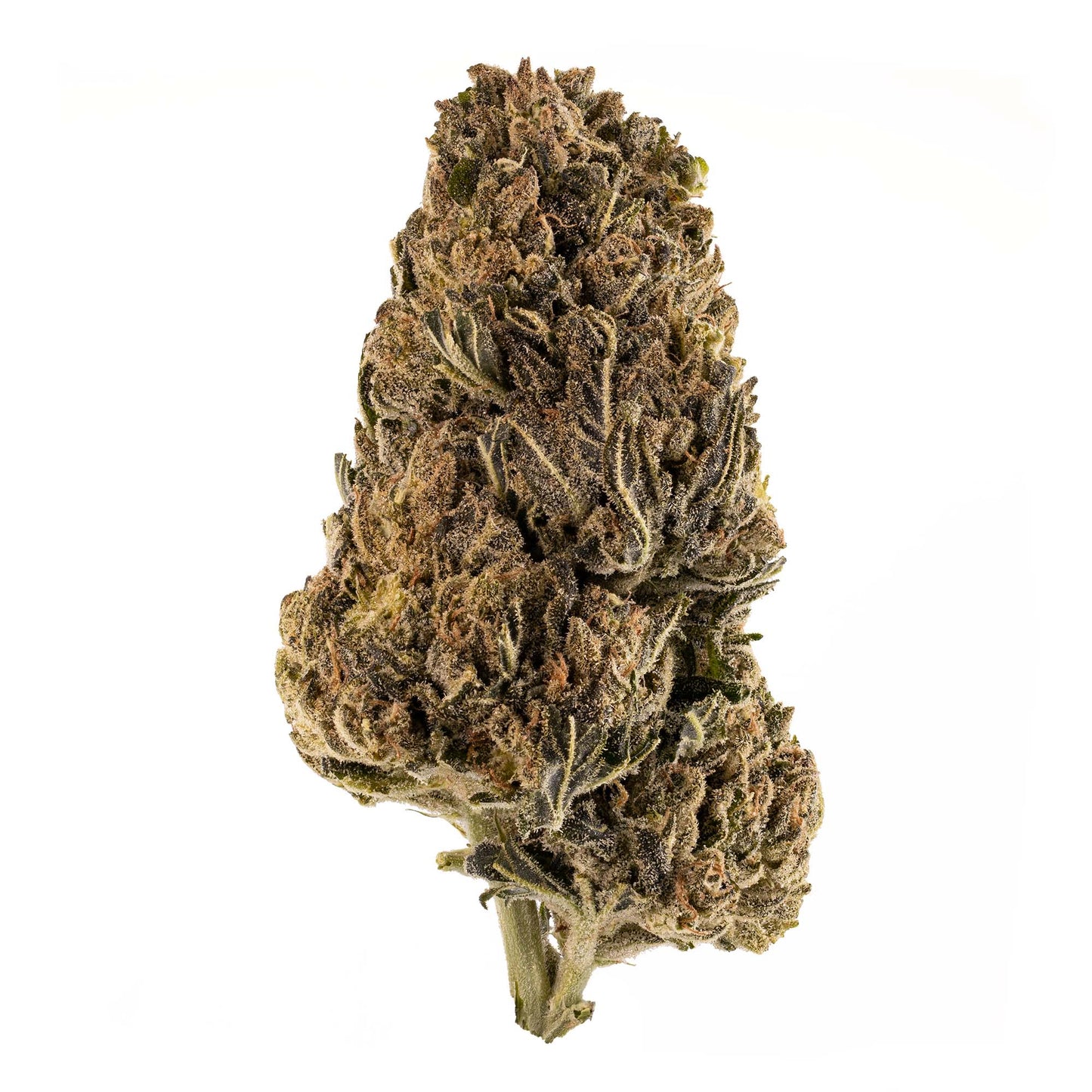 Lemon Sour Diesel-01