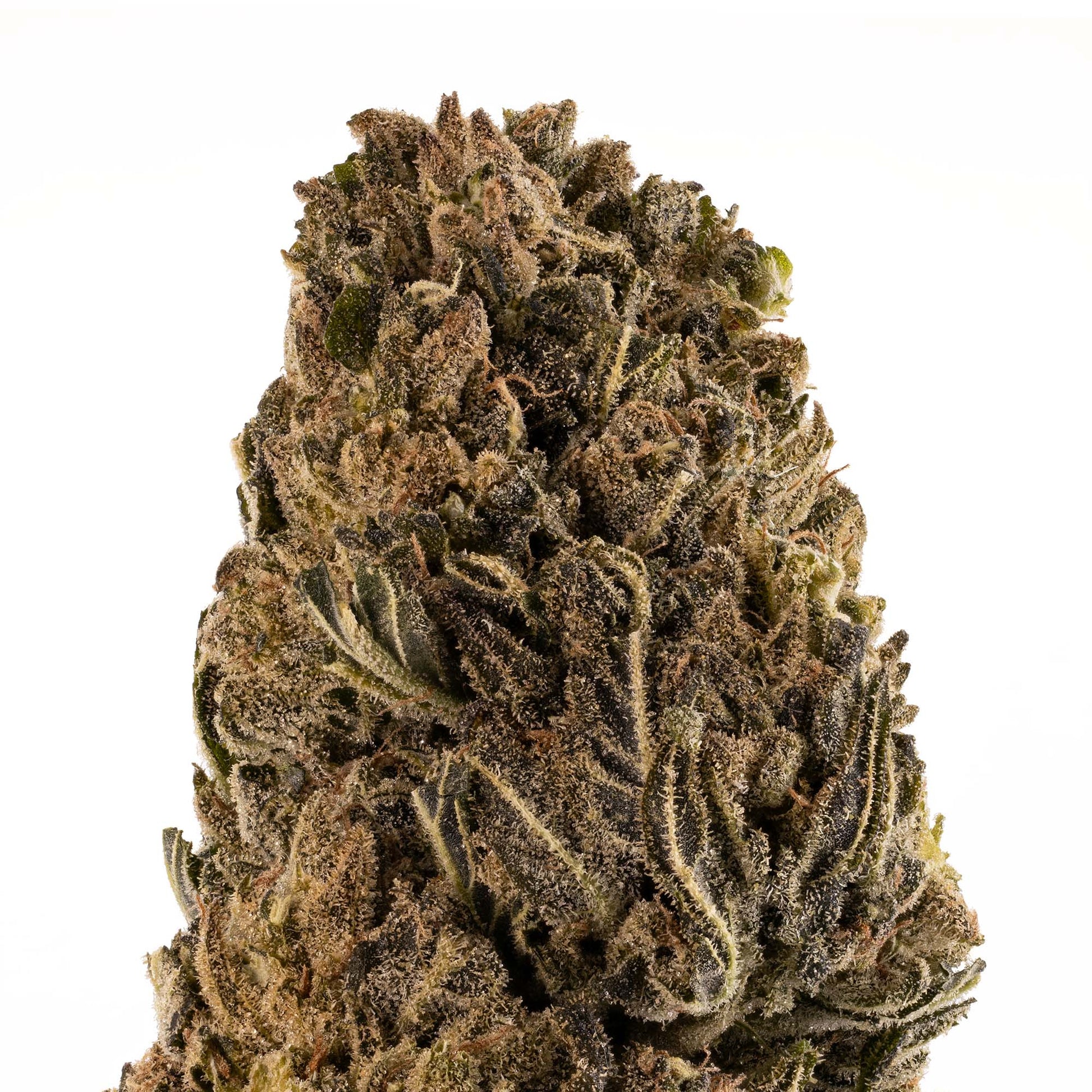 Lemon Sour Diesel-02