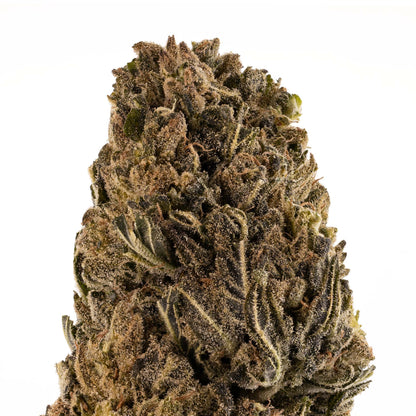 Lemon Sour Diesel-02