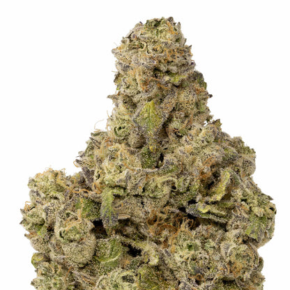 Licorice Kush-02
