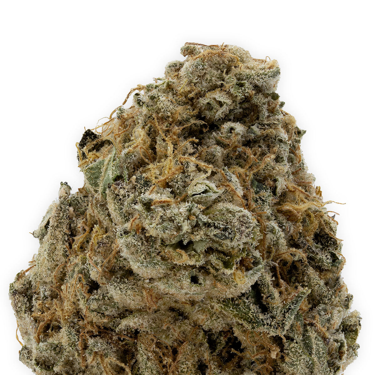 London Pound Mints-02