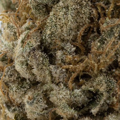 London Pound Mints-03