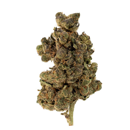 Mac Fritter-01
