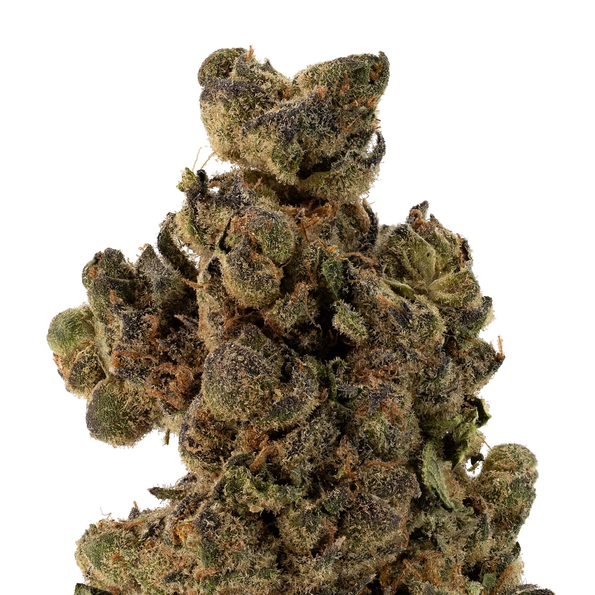 Mac Fritter-02