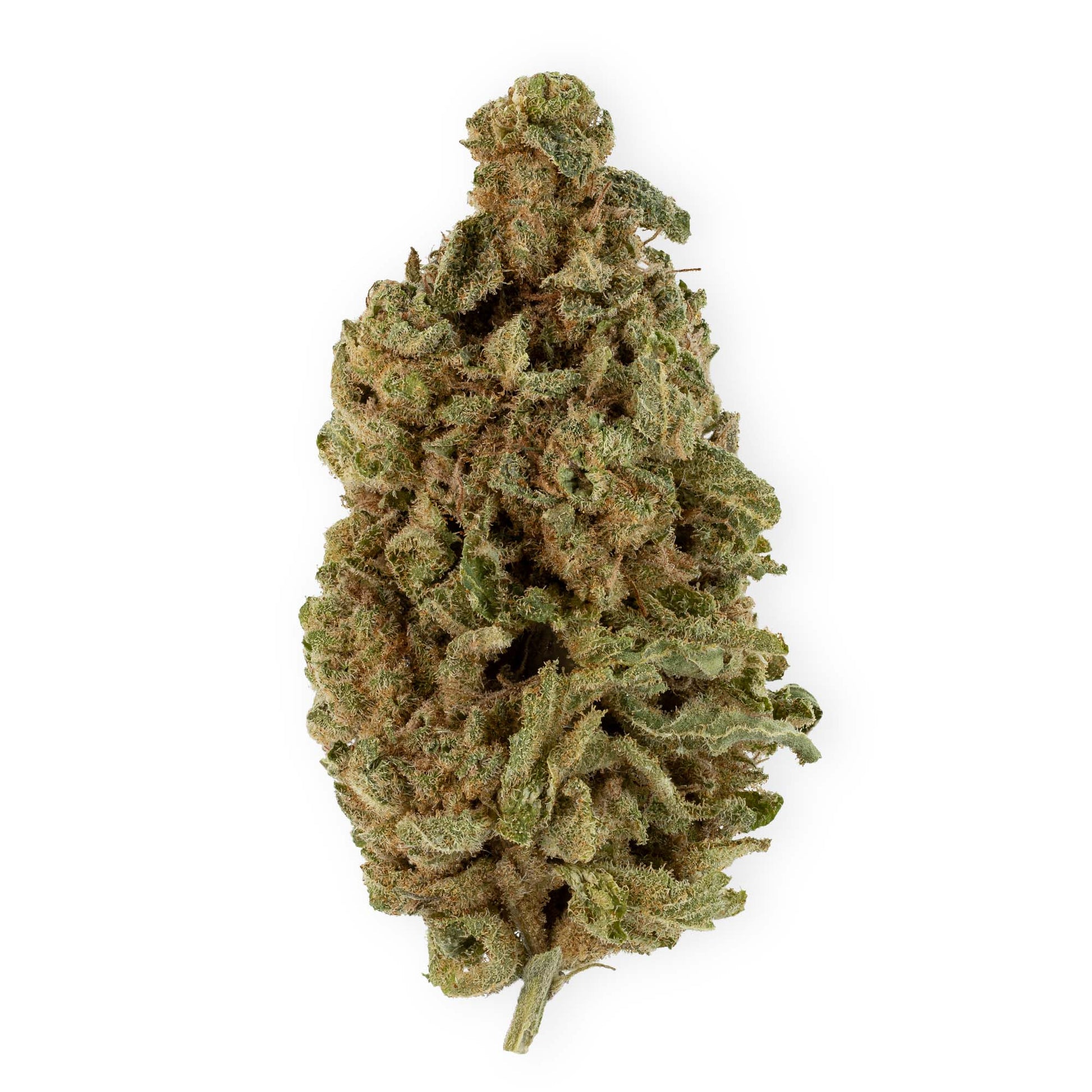 Mac OG-01