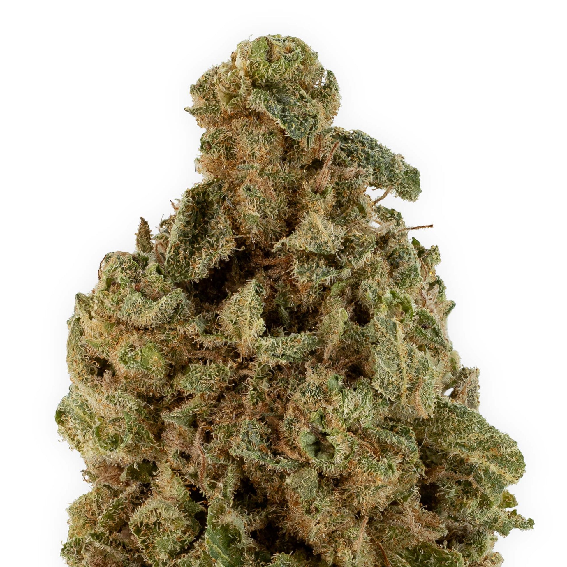 Mac OG-02