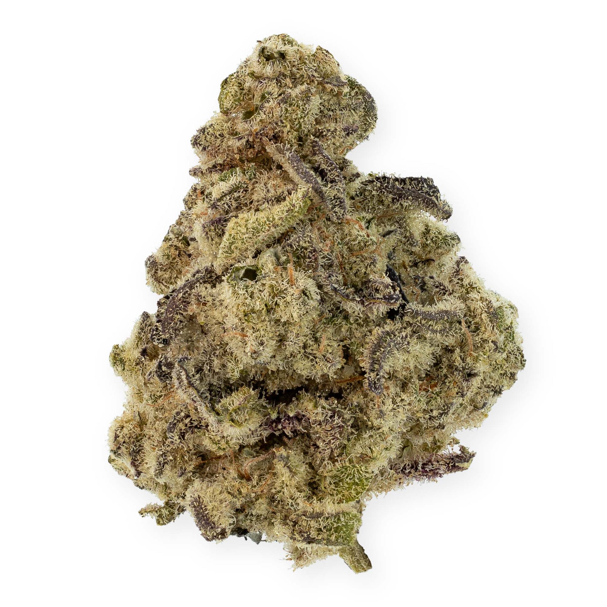 Mac 1-01
