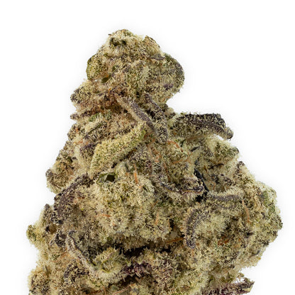 Mac 1-02