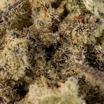 Mac 1-03