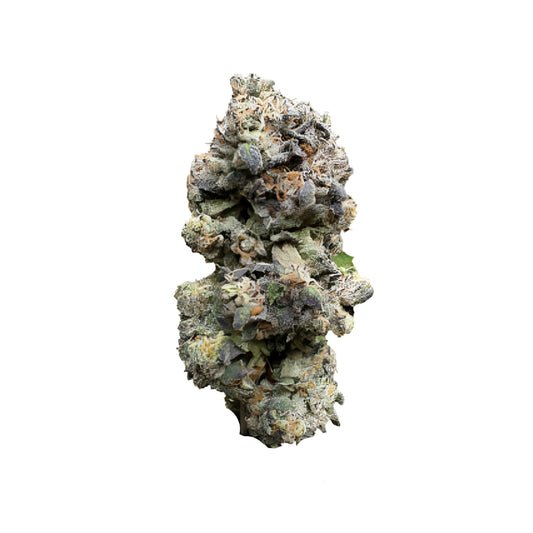 Gummy Bunz-01