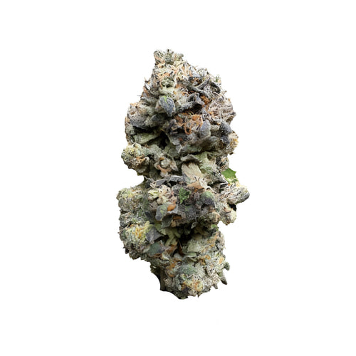 Gummy Bunz-01
