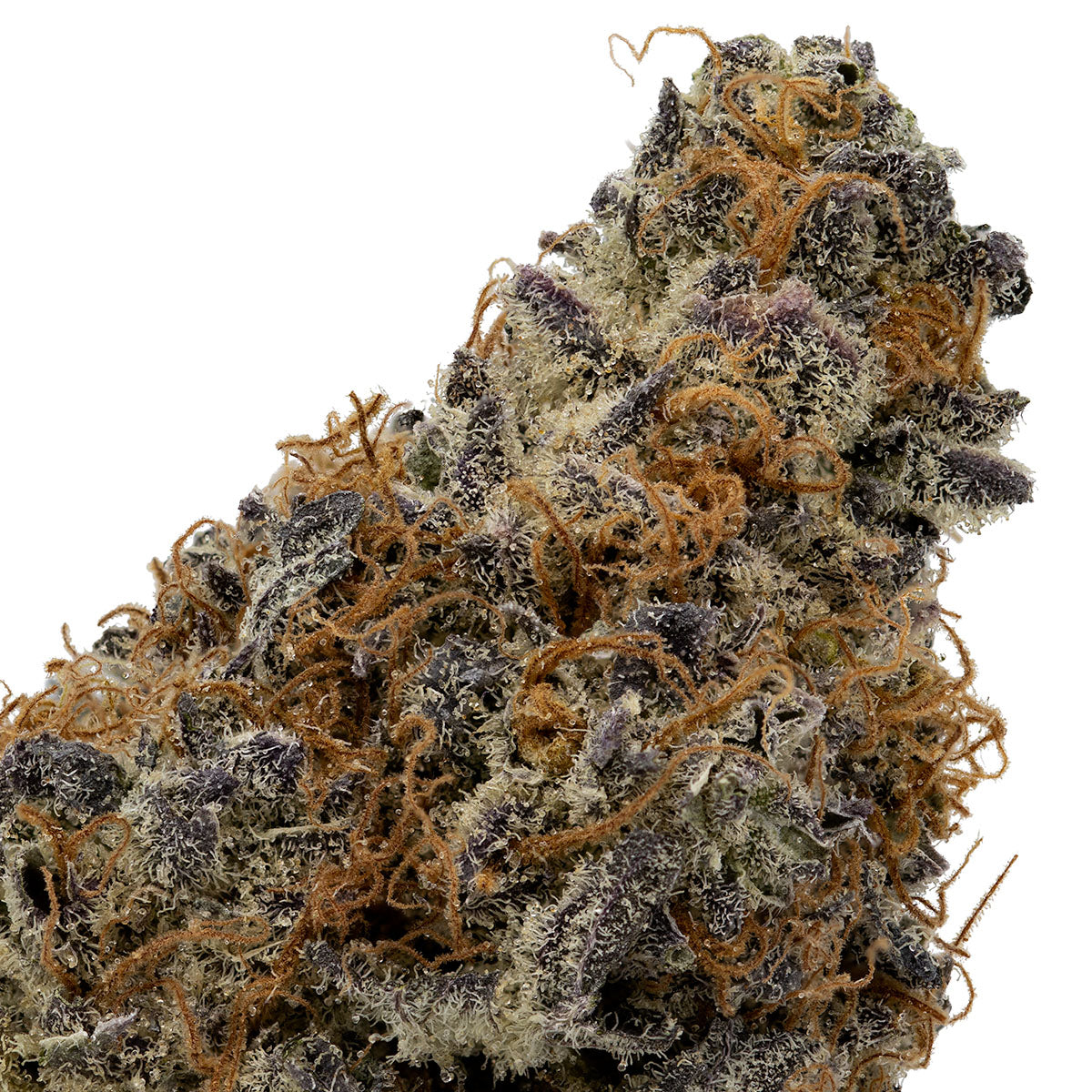 Mandarin Cookies-02
