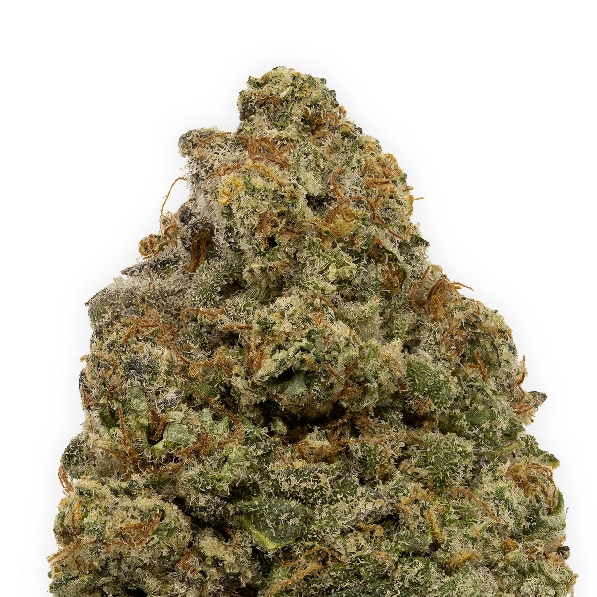 Mendoz Stomper-03