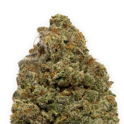 Mendoz Stomper-03