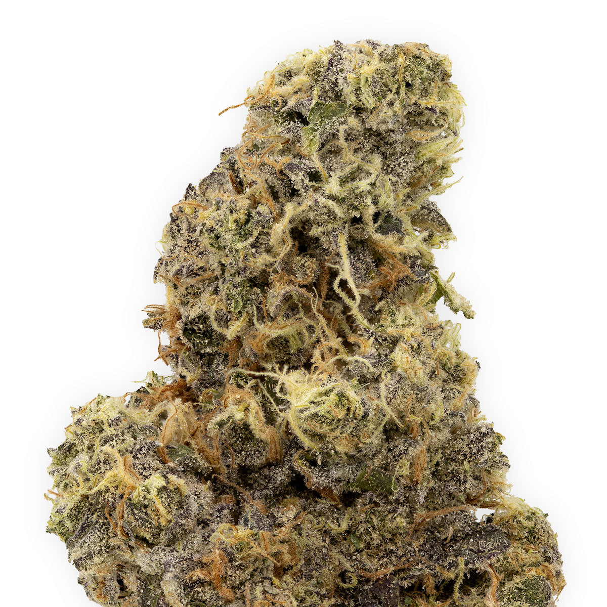 Mint Chocolate Chip-03
