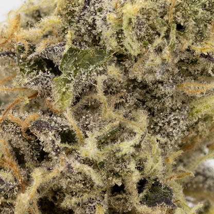 Mint Chocolate Chip-04