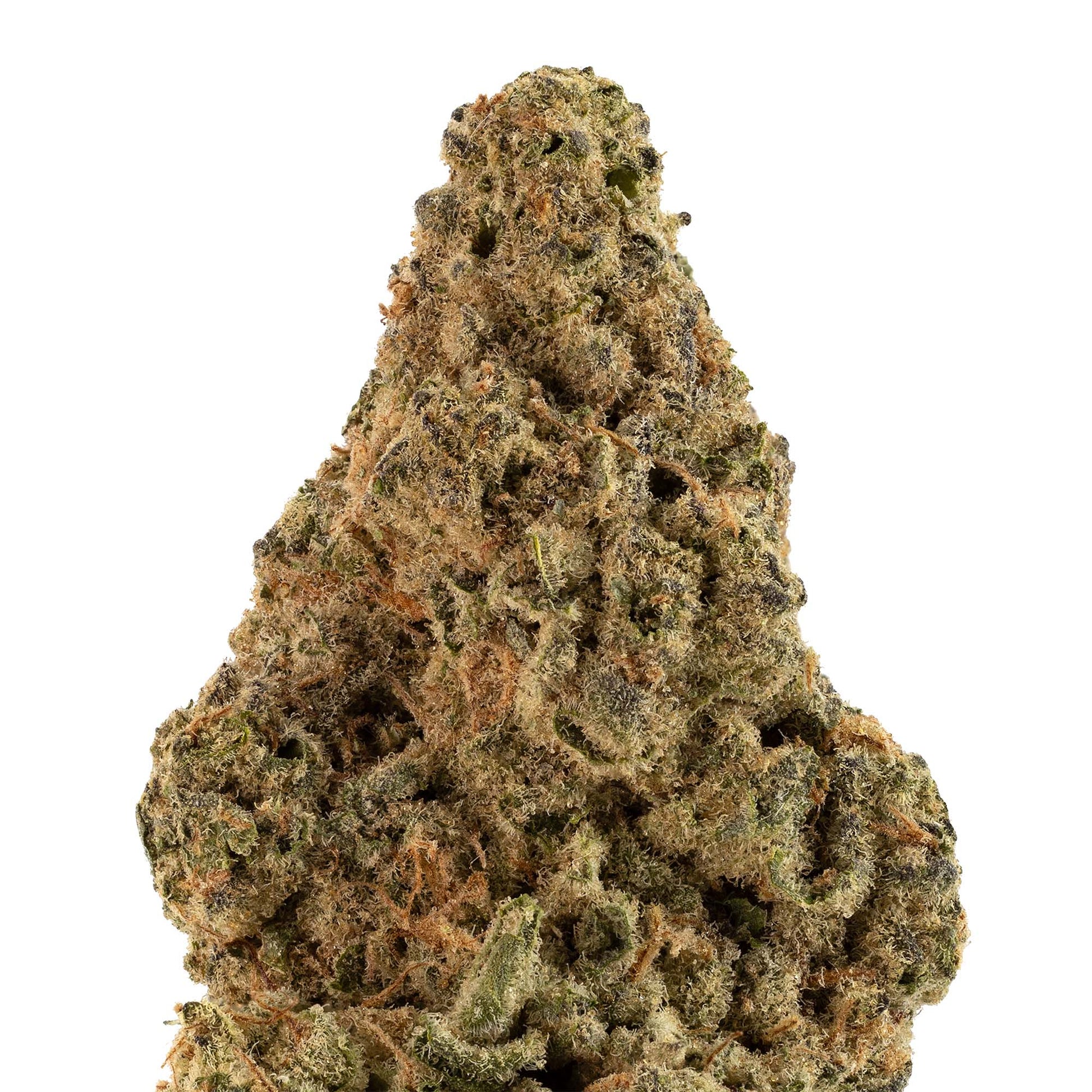 Mint Cookies-02