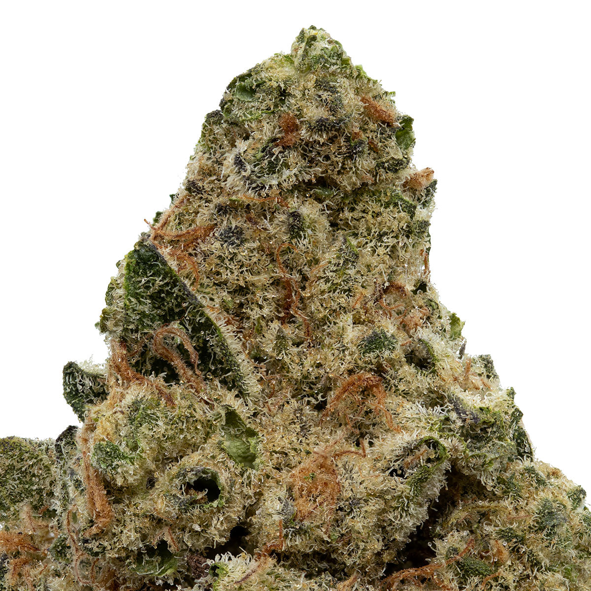 Crooked Dory Mint Smash-02