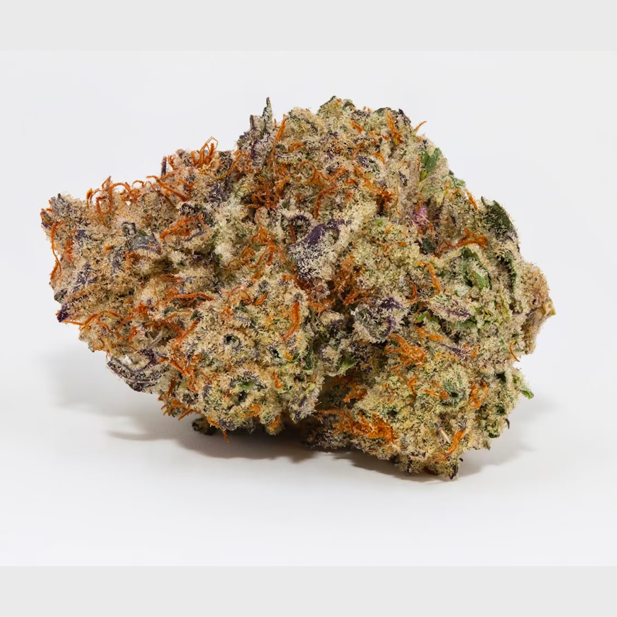 Cyber Fuel x Alien Cake-01