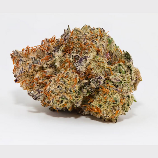 Cyber Fuel x Alien Cake-01