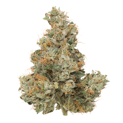 Pemberton Pink-01