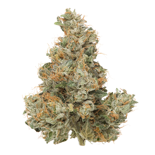 Pemberton Pink-01