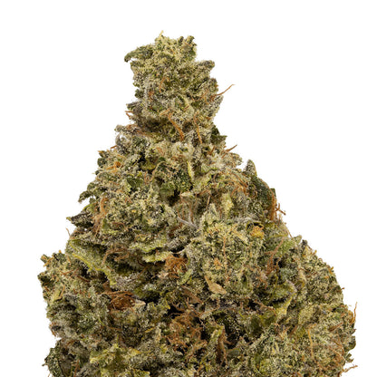 Pink Kush-02