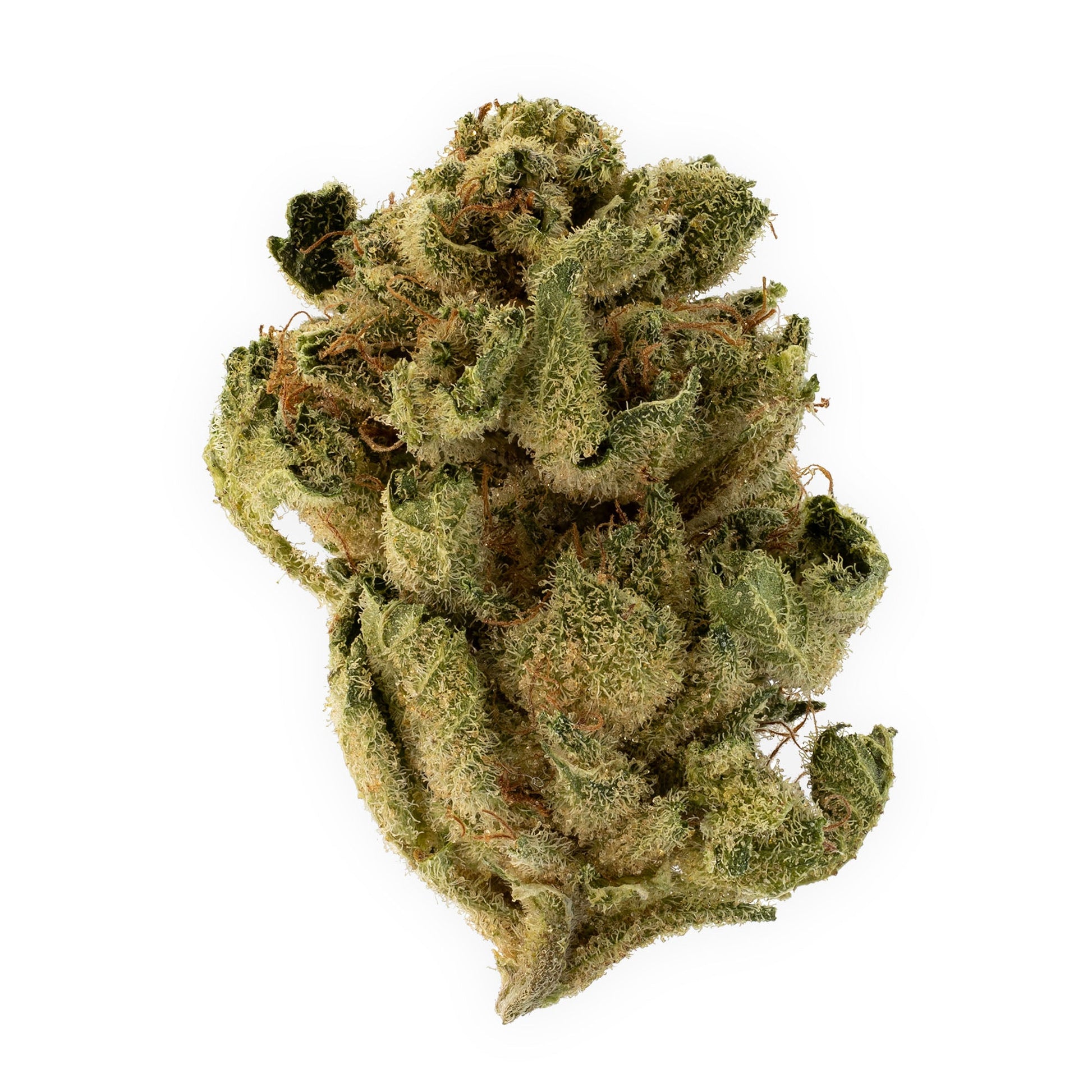 Platinum OG-01