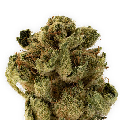 Platinum OG-02