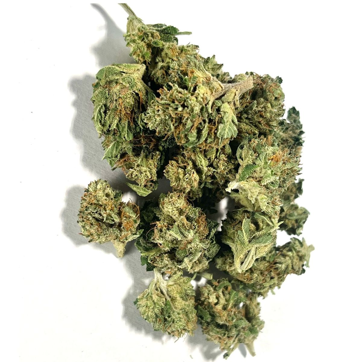 Popcorn Buds - The Ambassador Infused-01