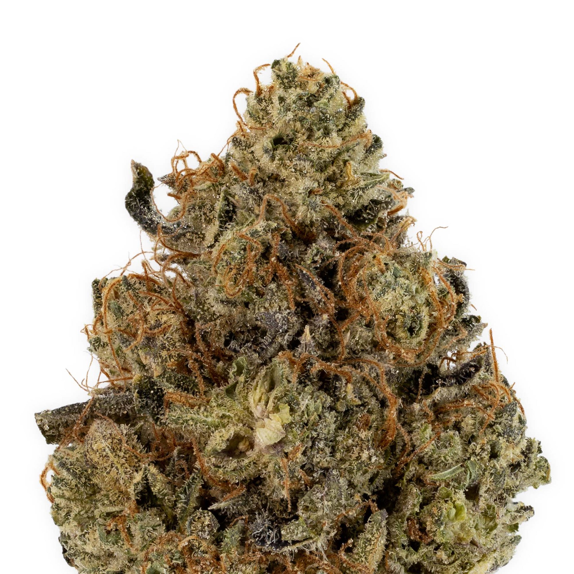 Nighttime Nirvana - Purple Kush-02