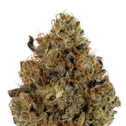 Nighttime Nirvana - Purple Kush-02