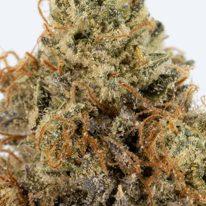 Nighttime Nirvana - Purple Kush-03
