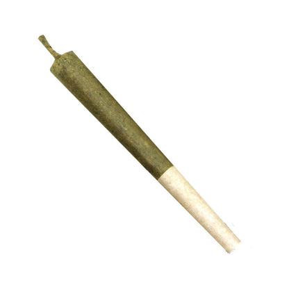 Purple Papaya Infused Pre-Roll-01