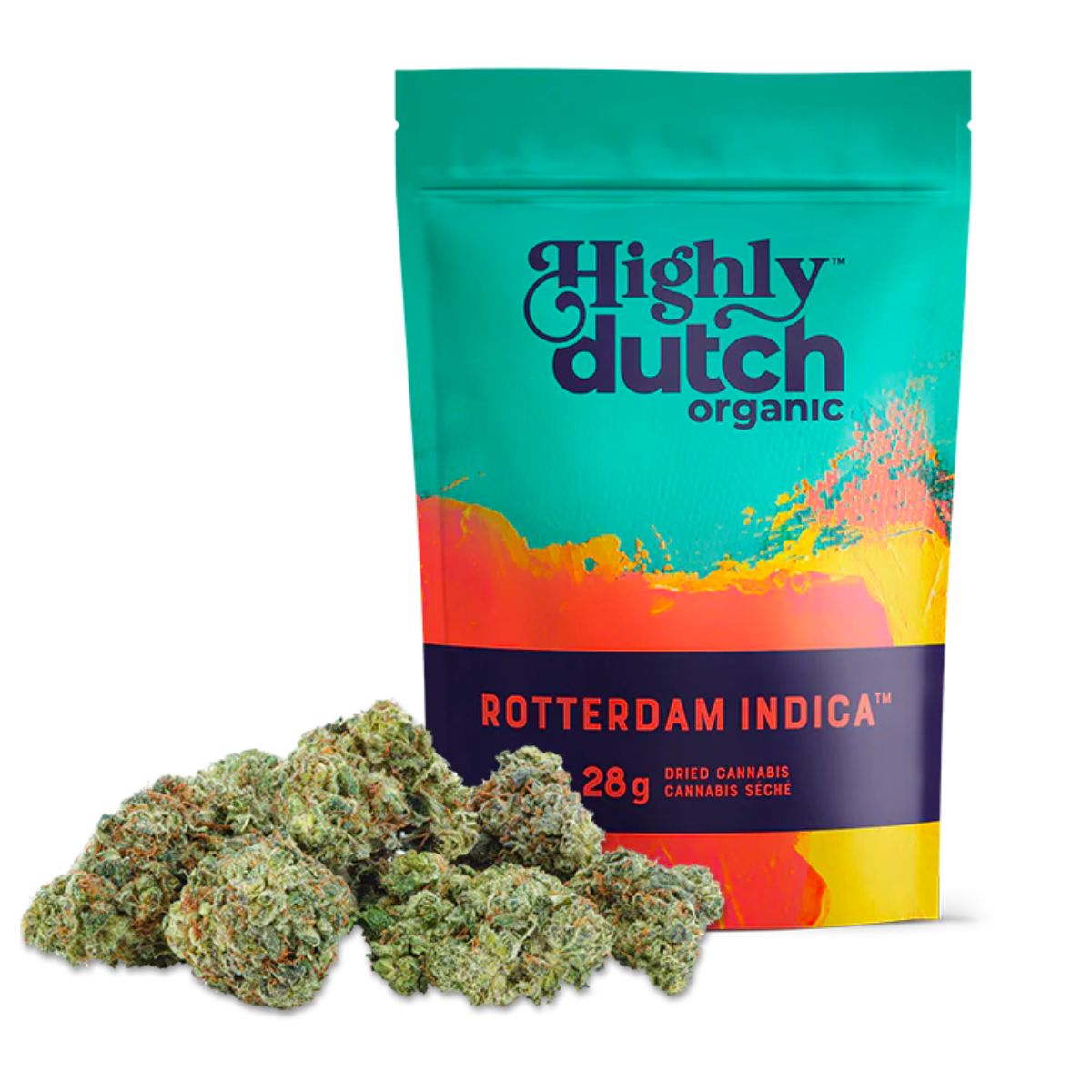 Rotterdam Indica-02