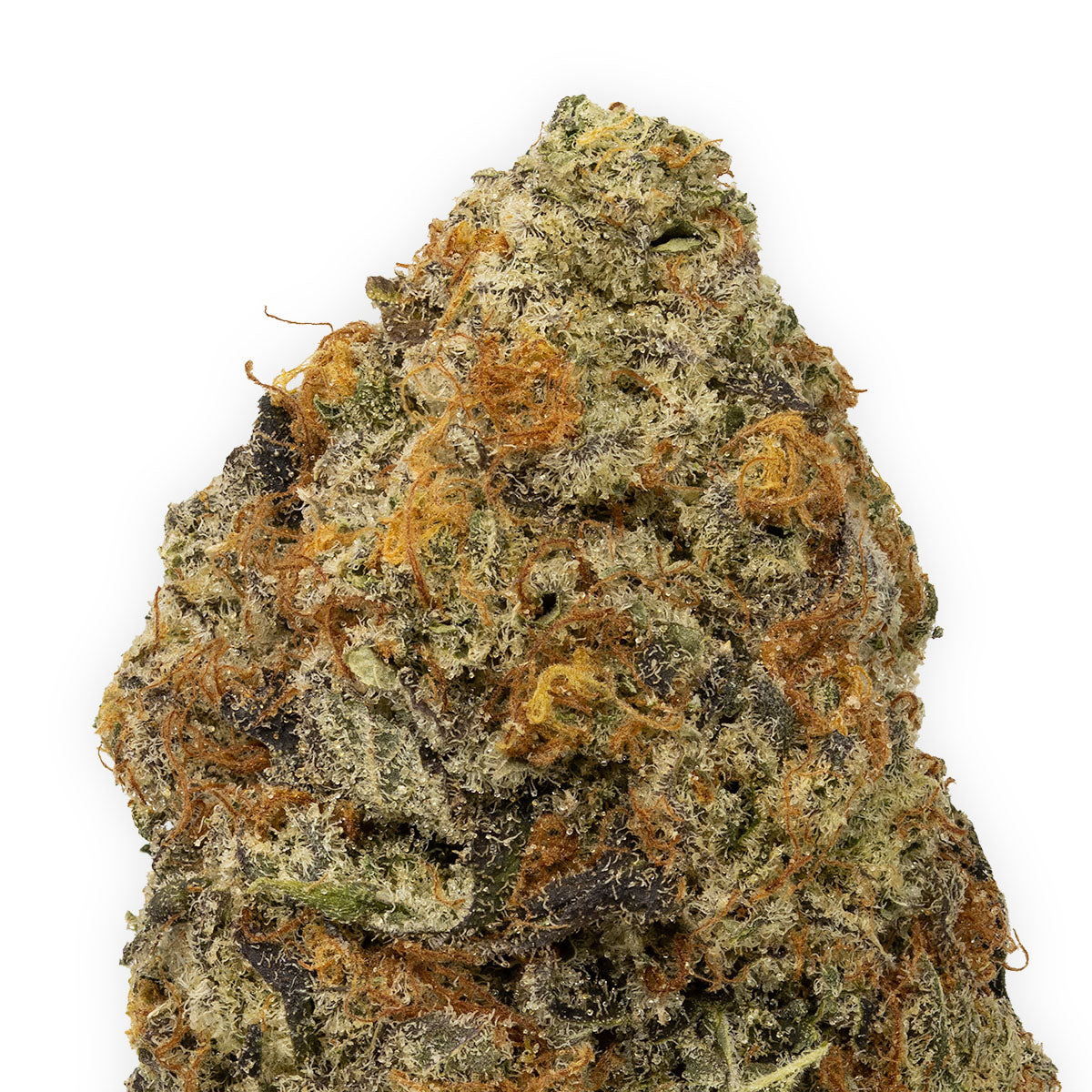 Slurricane-02