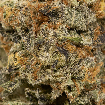 Slurricane-03