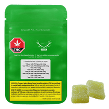 Load image into Gallery viewer, Real Fruit Sour Apple Gummies-03
