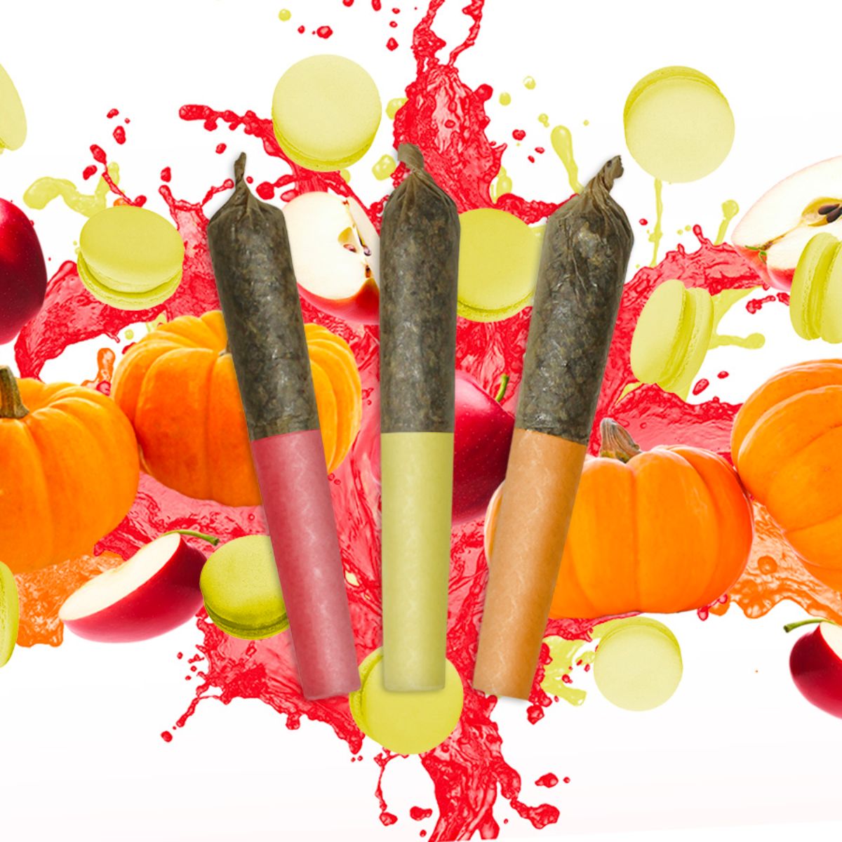Harvest Special Shatter Infused Pre-Roll Variety Pack-01