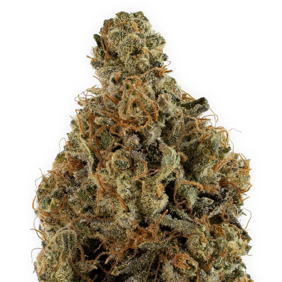 Triangle Kush-02