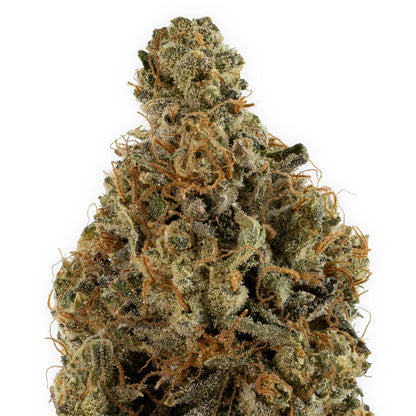 Triangle Kush-02