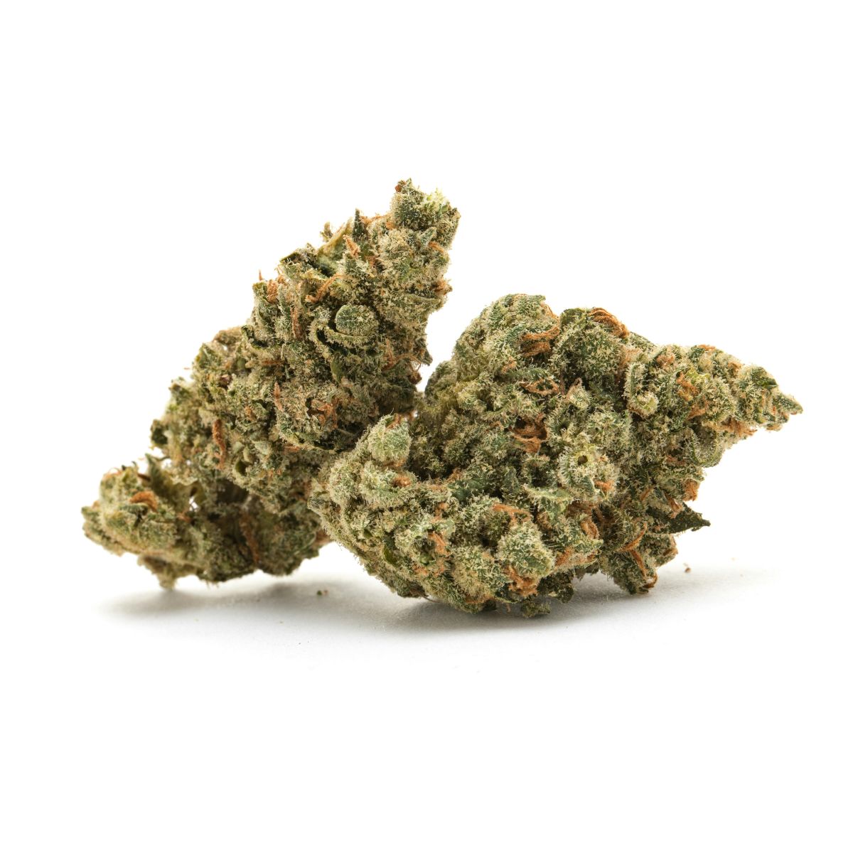 Midday Mix - White Truffle-02