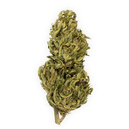 Umpqua CBD-01