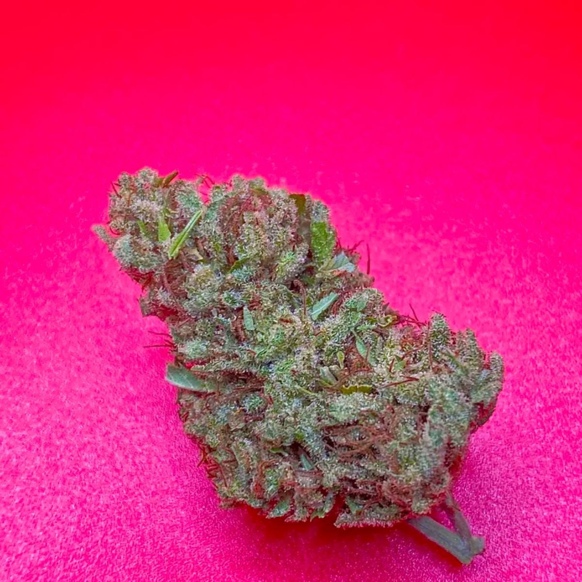 Organic Umpqua CBD-01