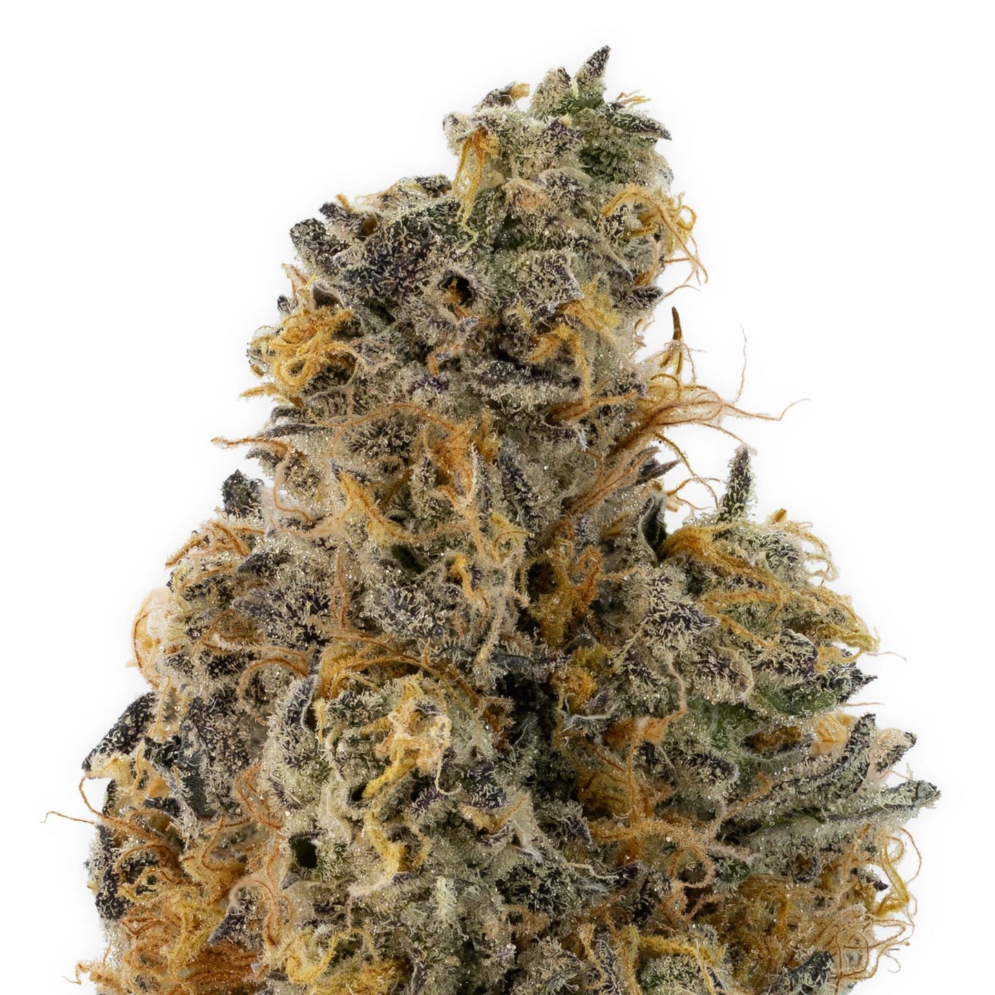 Unicorn Poop-02