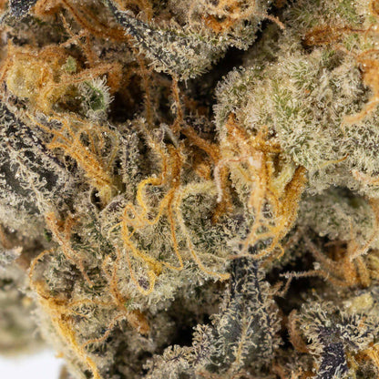 Unicorn Poop-03