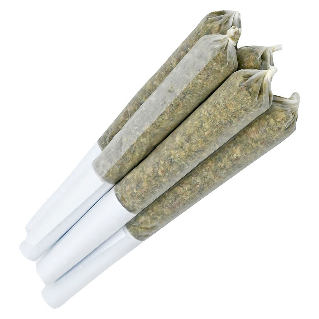 Big Terp Energy Pre-Roll-01