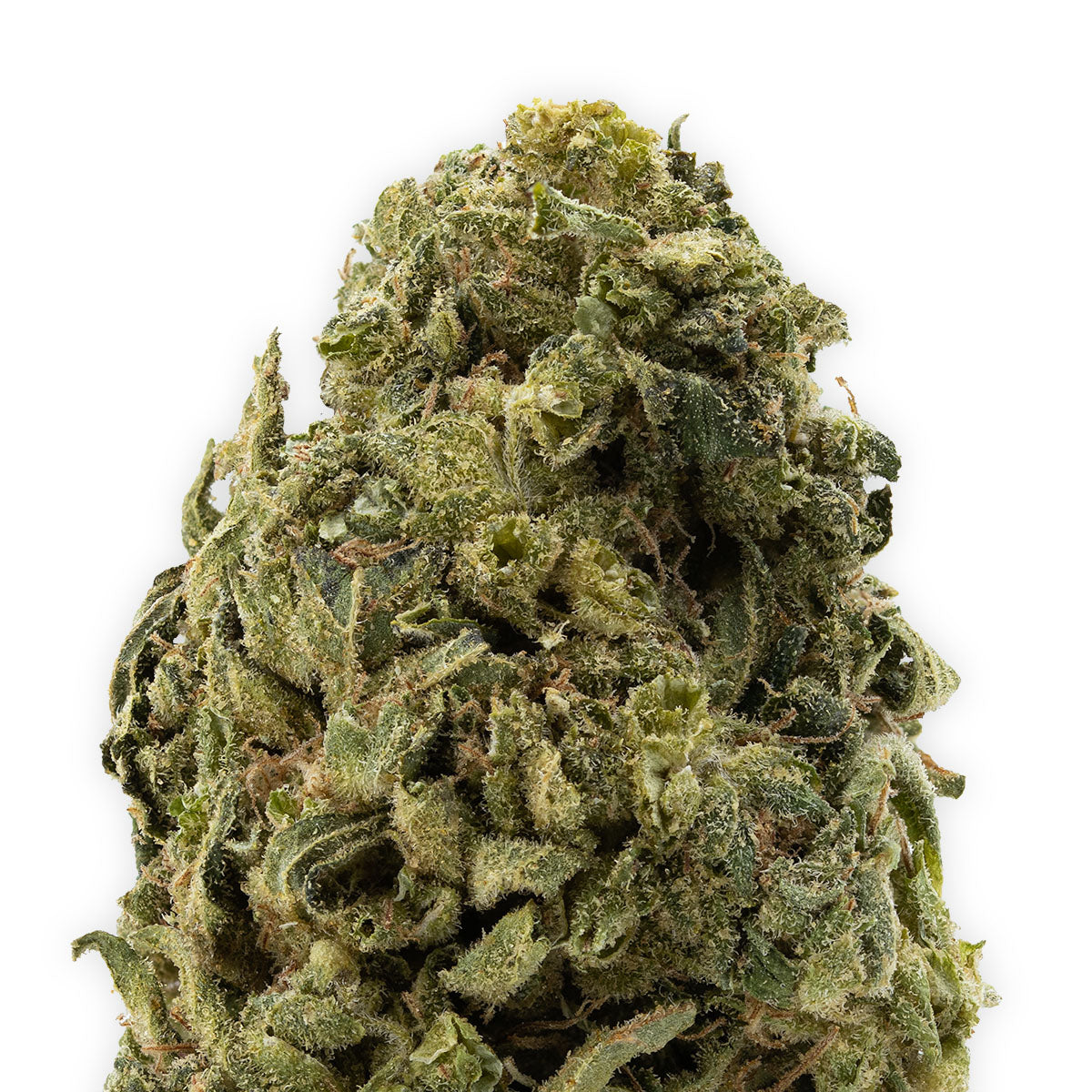 Zweet Cherry OG Limited-02